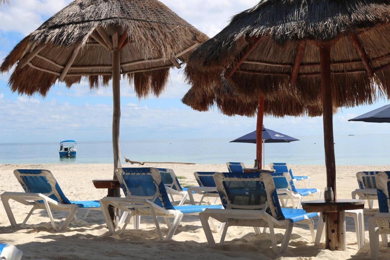 The Diving Lodge Downtown Puerto Morelos Exterior foto